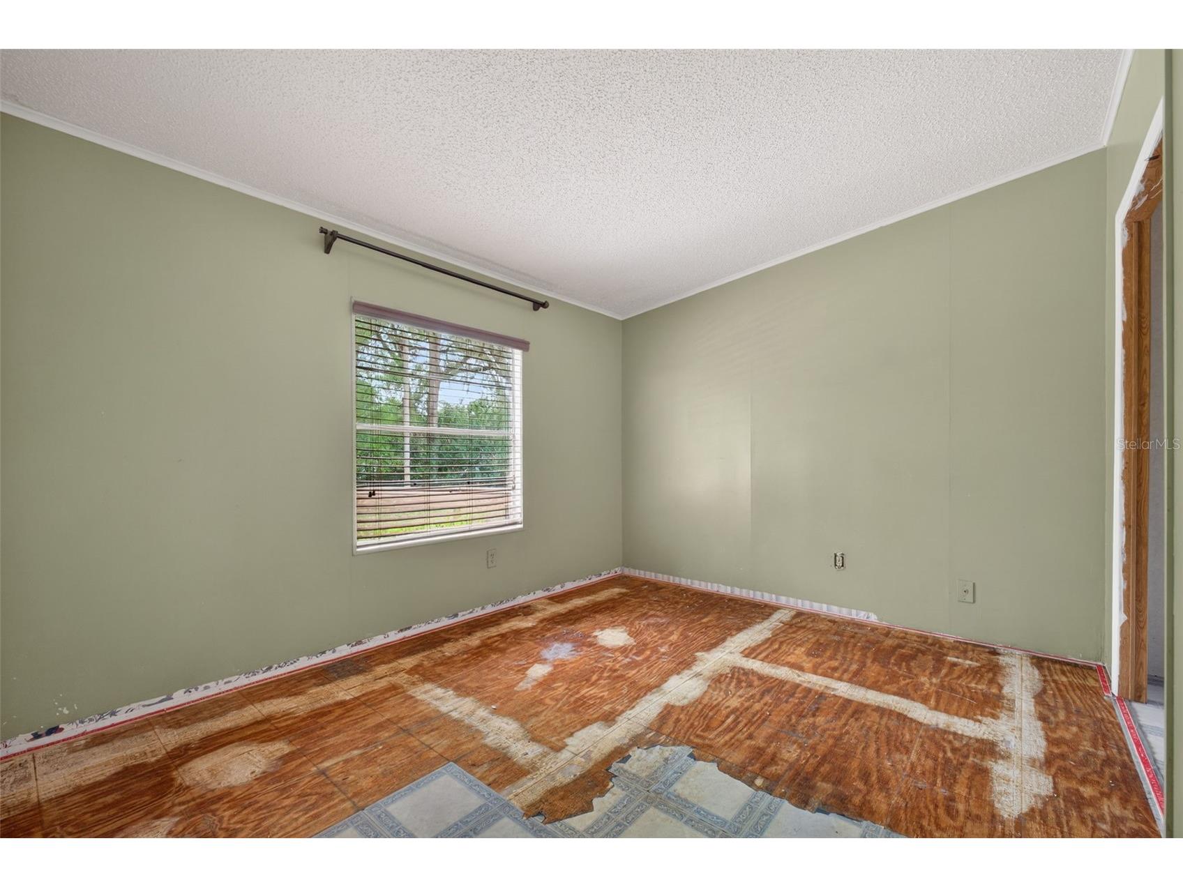 37043 Trilby Road Dade City FL 33523 TB8485929 image40