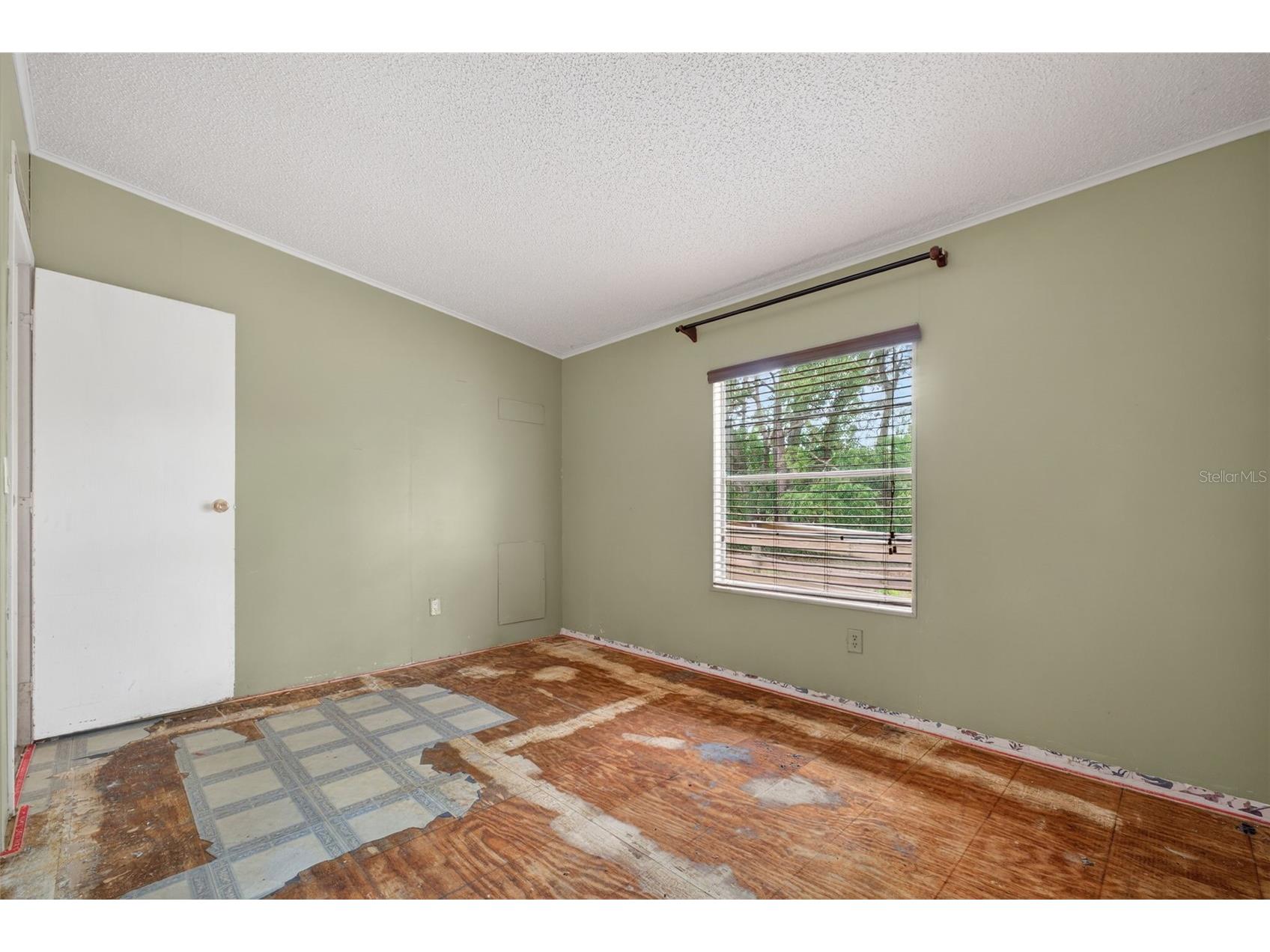 37043 Trilby Road Dade City FL 33523 TB8485929 image42