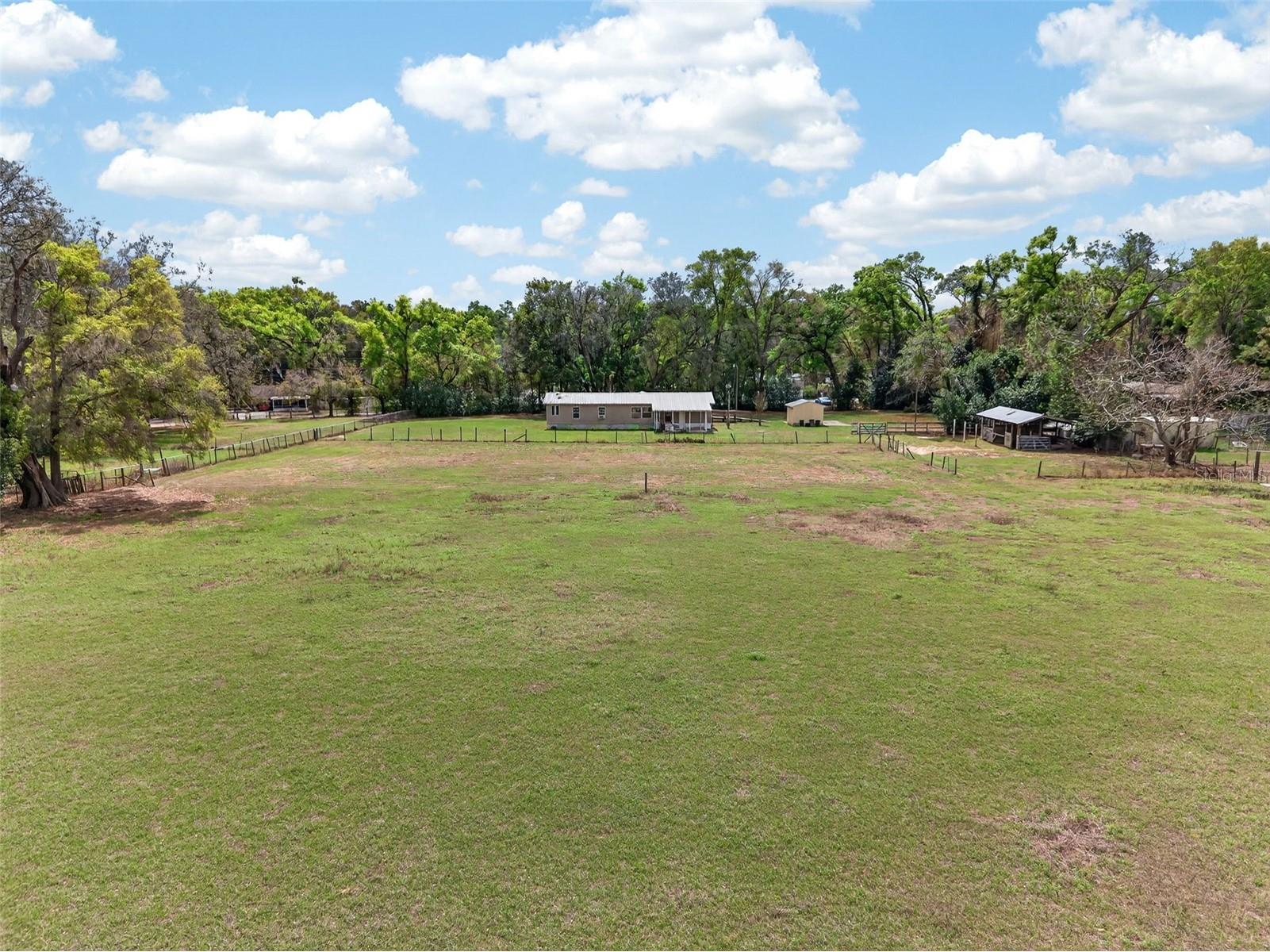 37043 Trilby Road Dade City FL 33523 TB8485929 image74