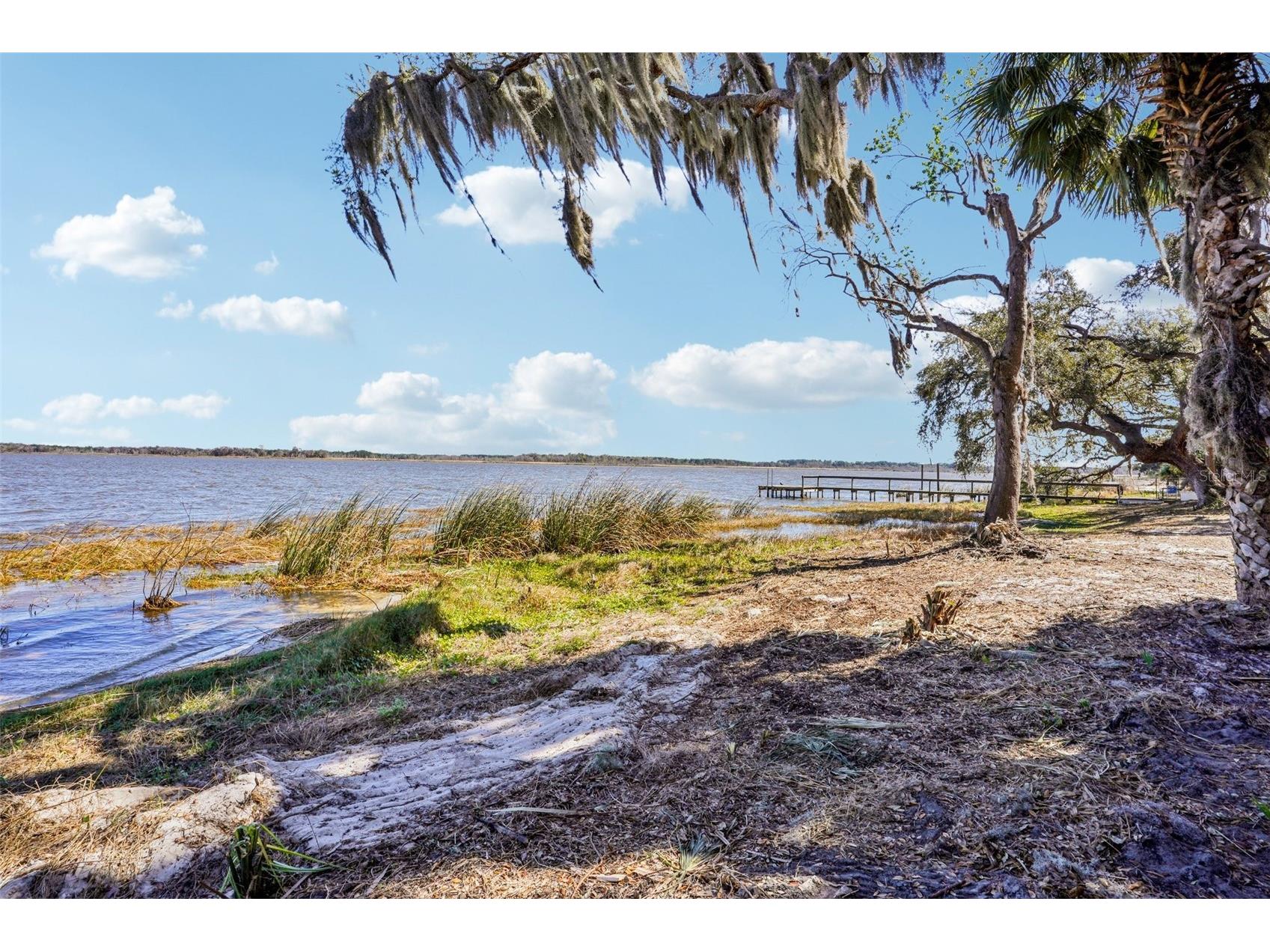 37048 County Road 452 Grand Island FL 32735 - LAKE YALE G5107048 image53