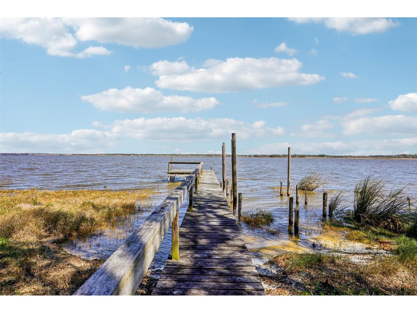 37048 County Road 452 Grand Island FL 32735 - LAKE YALE G5107048 image56