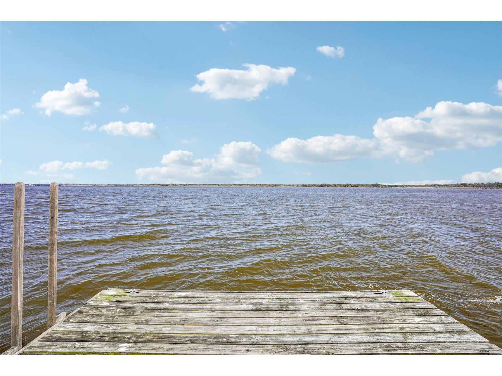 37048 County Road 452 Grand Island FL 32735 - LAKE YALE G5107048 image57