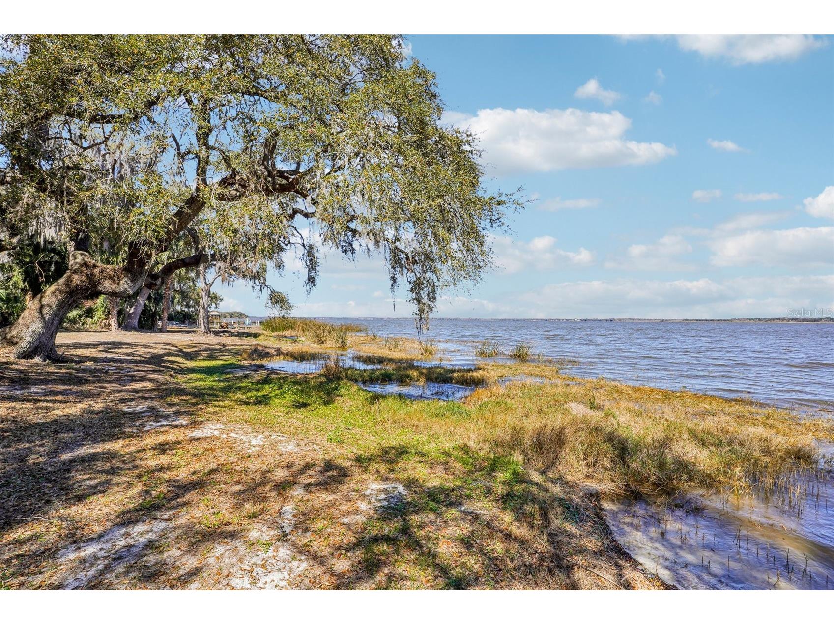 37048 County Road 452 Grand Island FL 32735 - LAKE YALE G5107048 image59