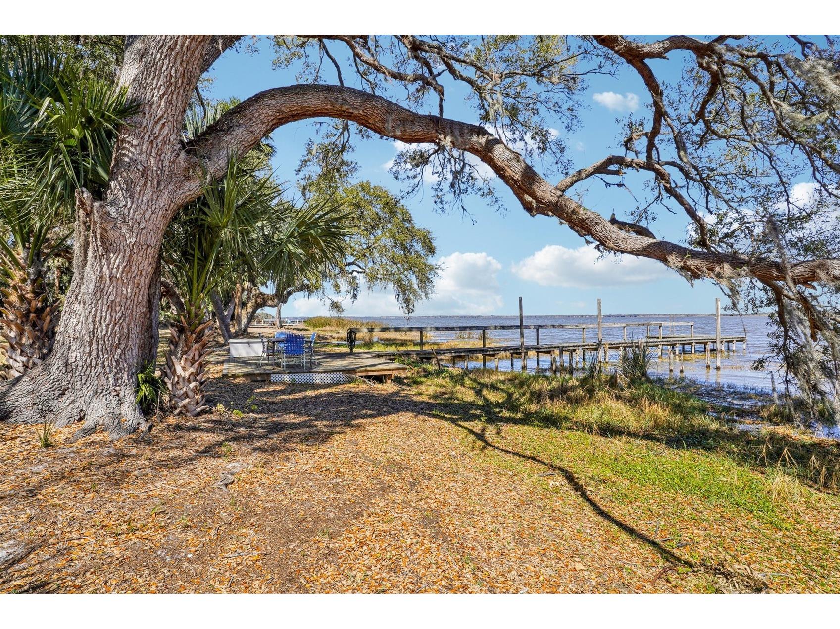 37048 County Road 452 Grand Island FL 32735 - LAKE YALE G5107048 image60