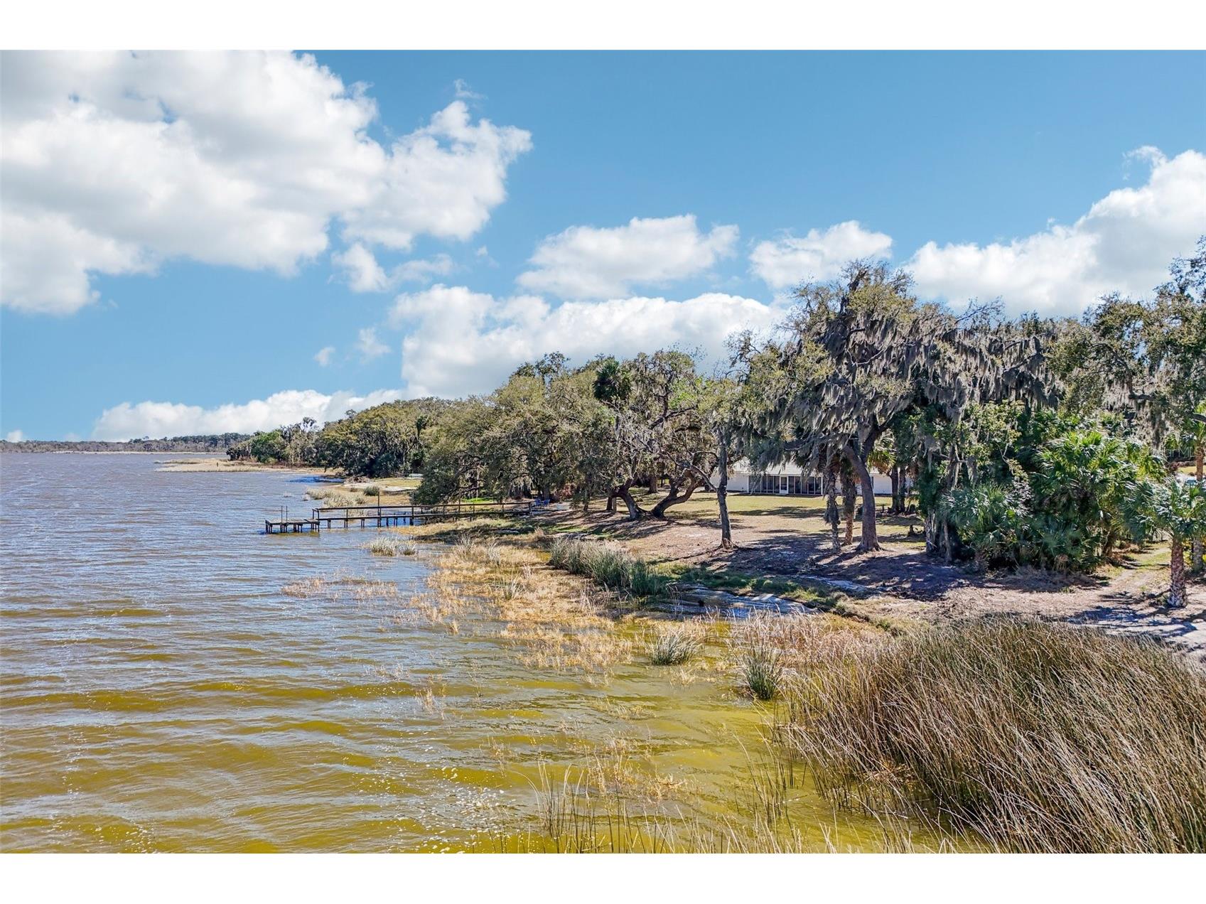 37048 County Road 452 Grand Island FL 32735 - LAKE YALE G5107048 image74