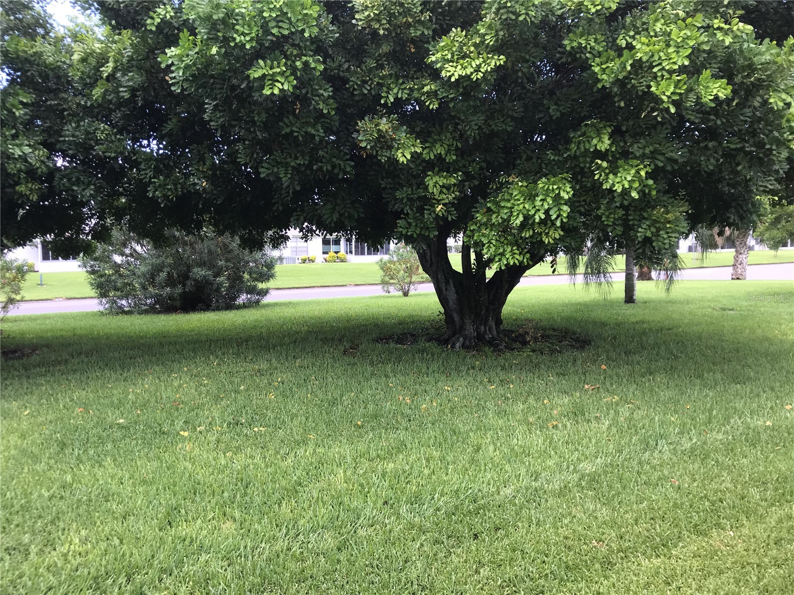 3705 34th Ave Drive W Bradenton FL 34205 A4682059 image9