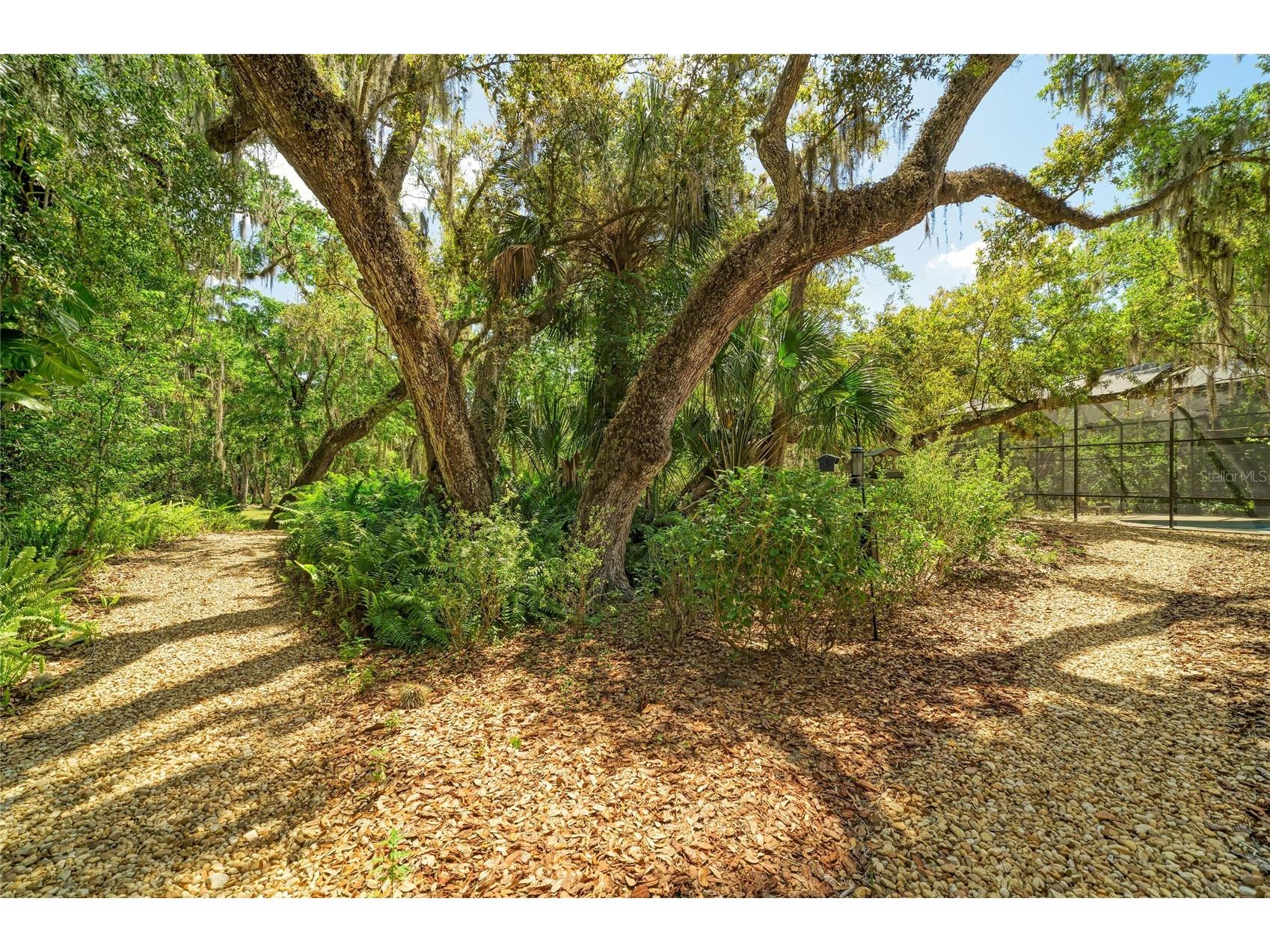 3705 62nd Street E Bradenton FL 34208 A4688405 image67