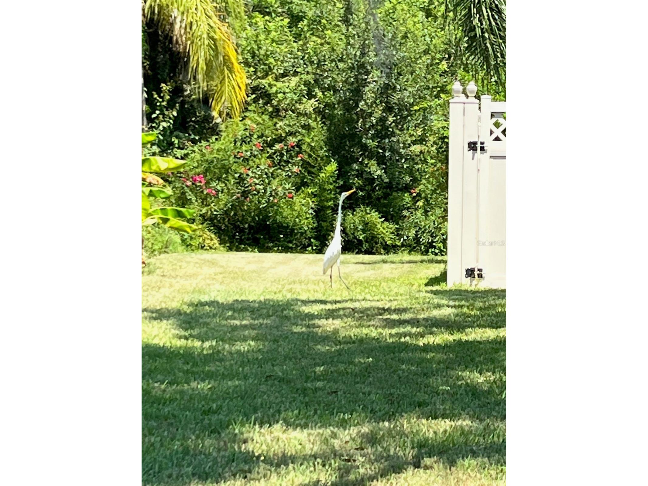 3705 Grayton Drive New Port Richey FL 34652 - SAWYER'S BASIN TB8506458 image55