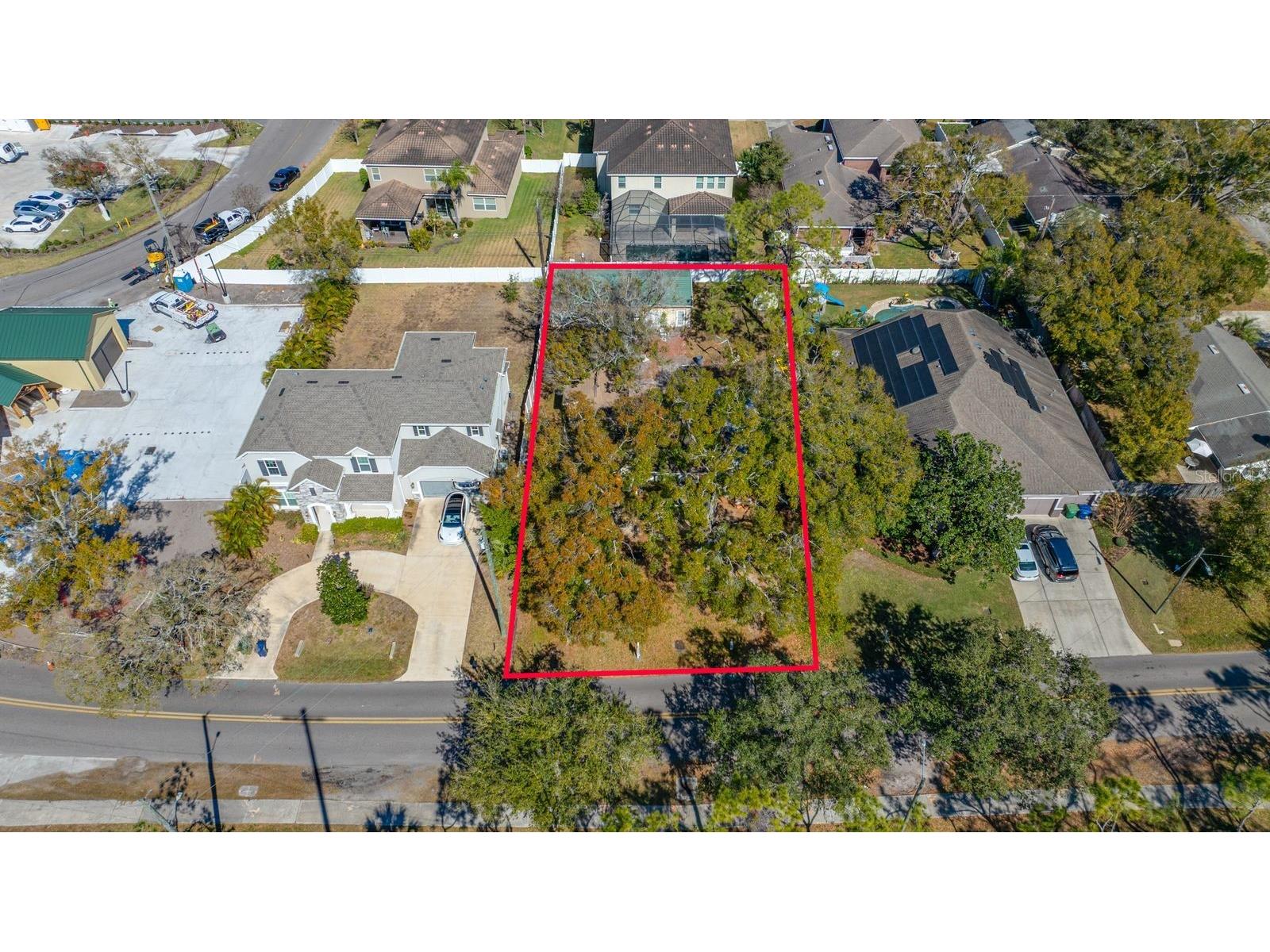 3705 W San Miguel Street Tampa FL 33629 TB8473950 image2