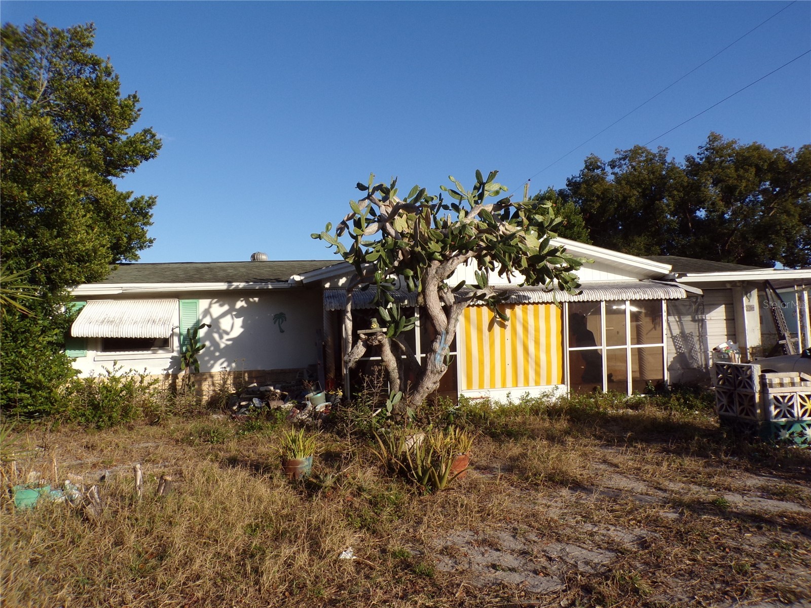 3706 Berkshire Street New Port Richey FL 34652 W7881595 image1