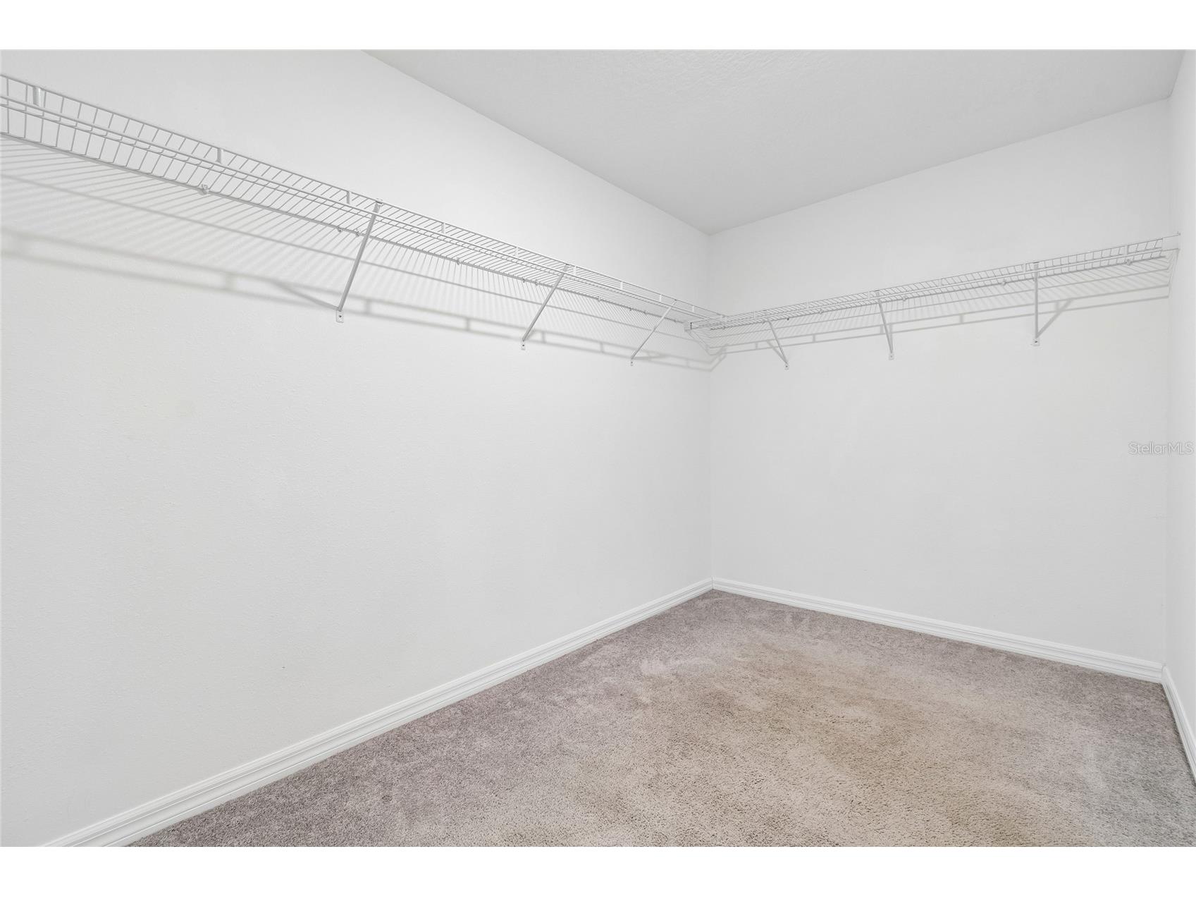 3706 Cat Mint Street Tampa FL 33619 TB8524386 image10