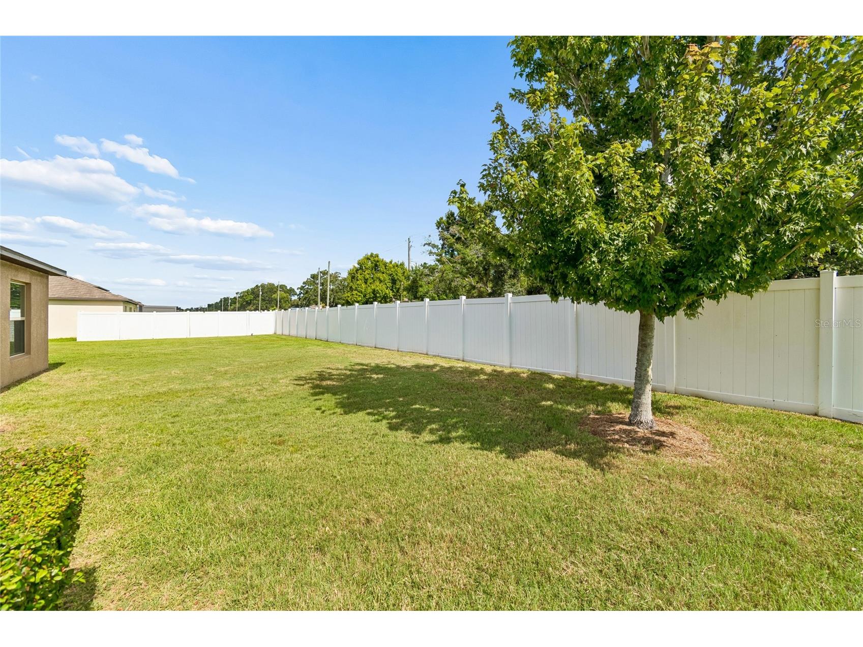 3706 Cat Mint Street Tampa FL 33619 TB8524386 image25