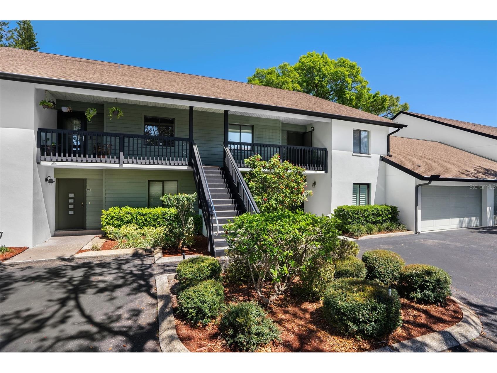 3706 Greenery Court #206 Tampa FL 33618 TB8376575 image1