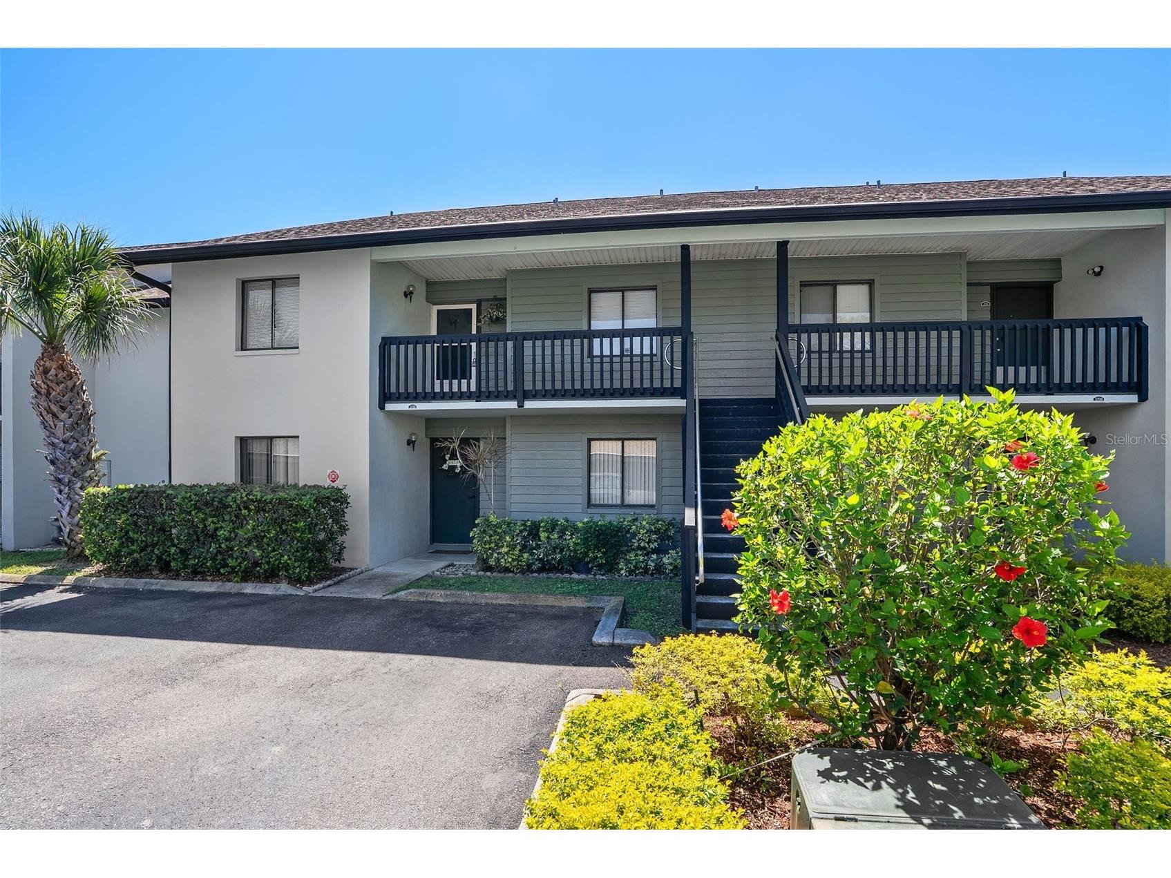 3706 Greenery Court #206 Tampa FL 33618 TB8376575 image2