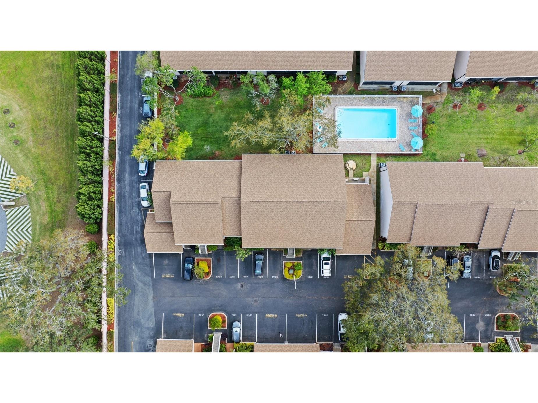 3706 Greenery Court #206 Tampa FL 33618 TB8376575 image33