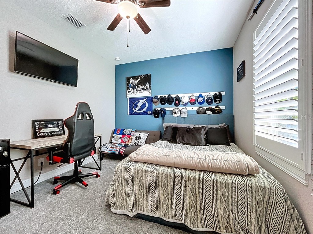 3706 W Vasconia Street Tampa FL 33629 TB8425664 image63