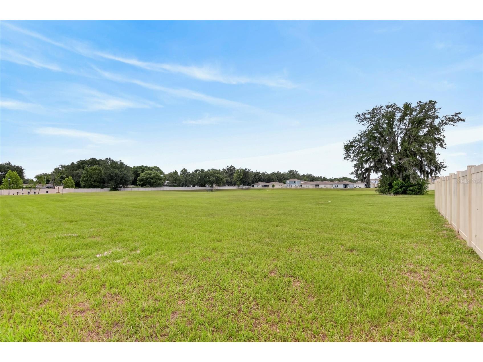 3706 Zephyr Preserve Place Zephyrhills FL 33541 TB8517651 image29