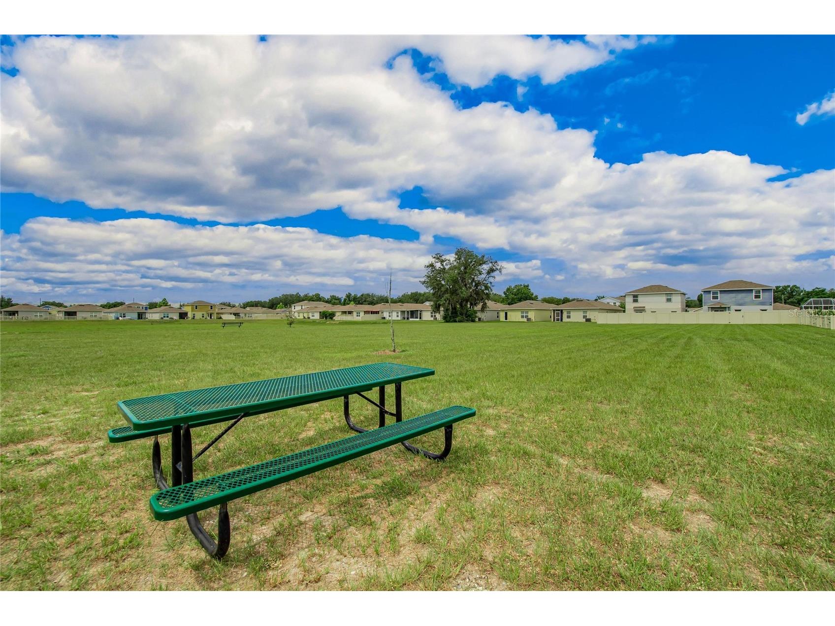 3706 Zephyr Preserve Place Zephyrhills FL 33541 TB8517651 image32