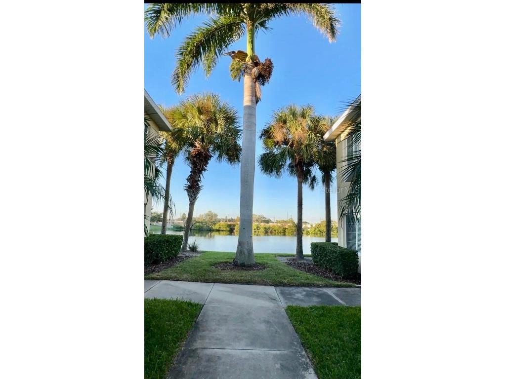 3707 45th Terrace W #101 Bradenton FL 34210 A4675435 image34