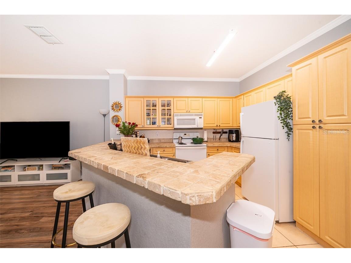 3707 Conroy Road #1715 Orlando FL 32839 O6319958 image9