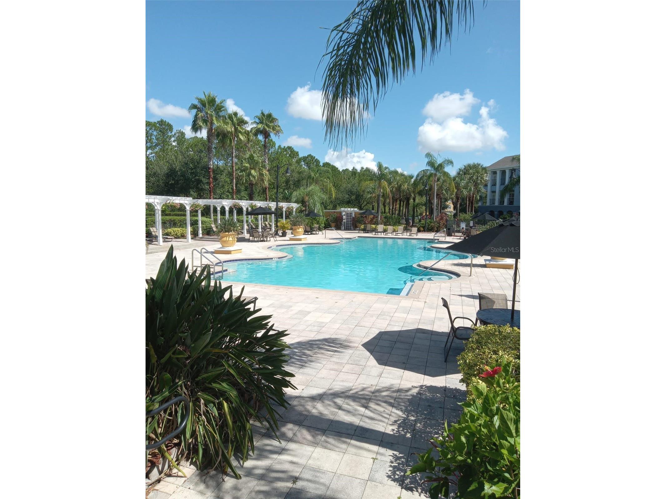 3707 Conroy Road #1729 Orlando FL 32839 S5149464 image33