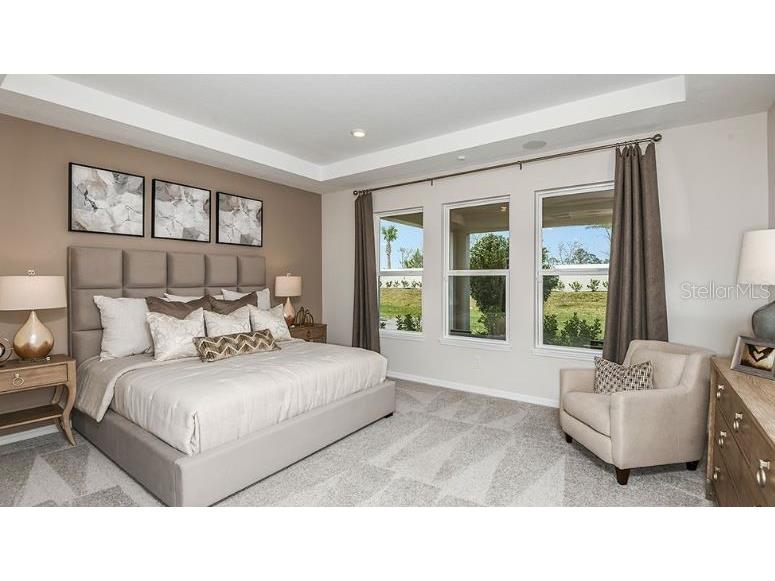 3707 Pine Peak Loop Plant City FL 33565 TB8446817 image7