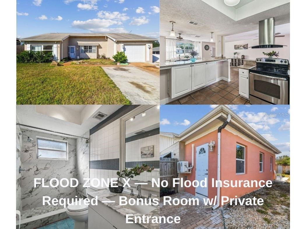 3707 Pinehurst Drive Holiday FL 34691 TB8436690 image5