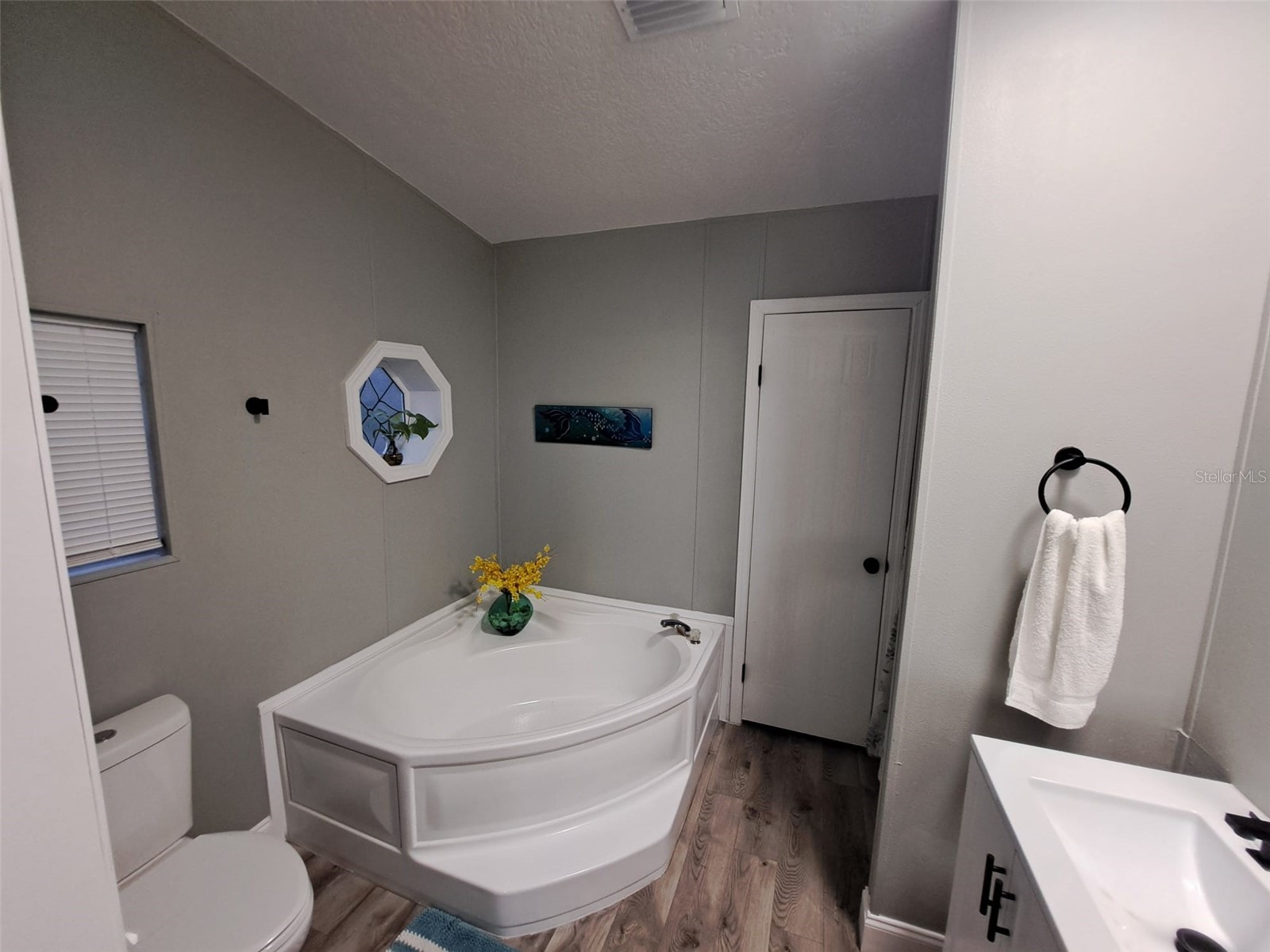 3707 Silver Lake Drive Kissimmee FL 34744 S5152425 image14