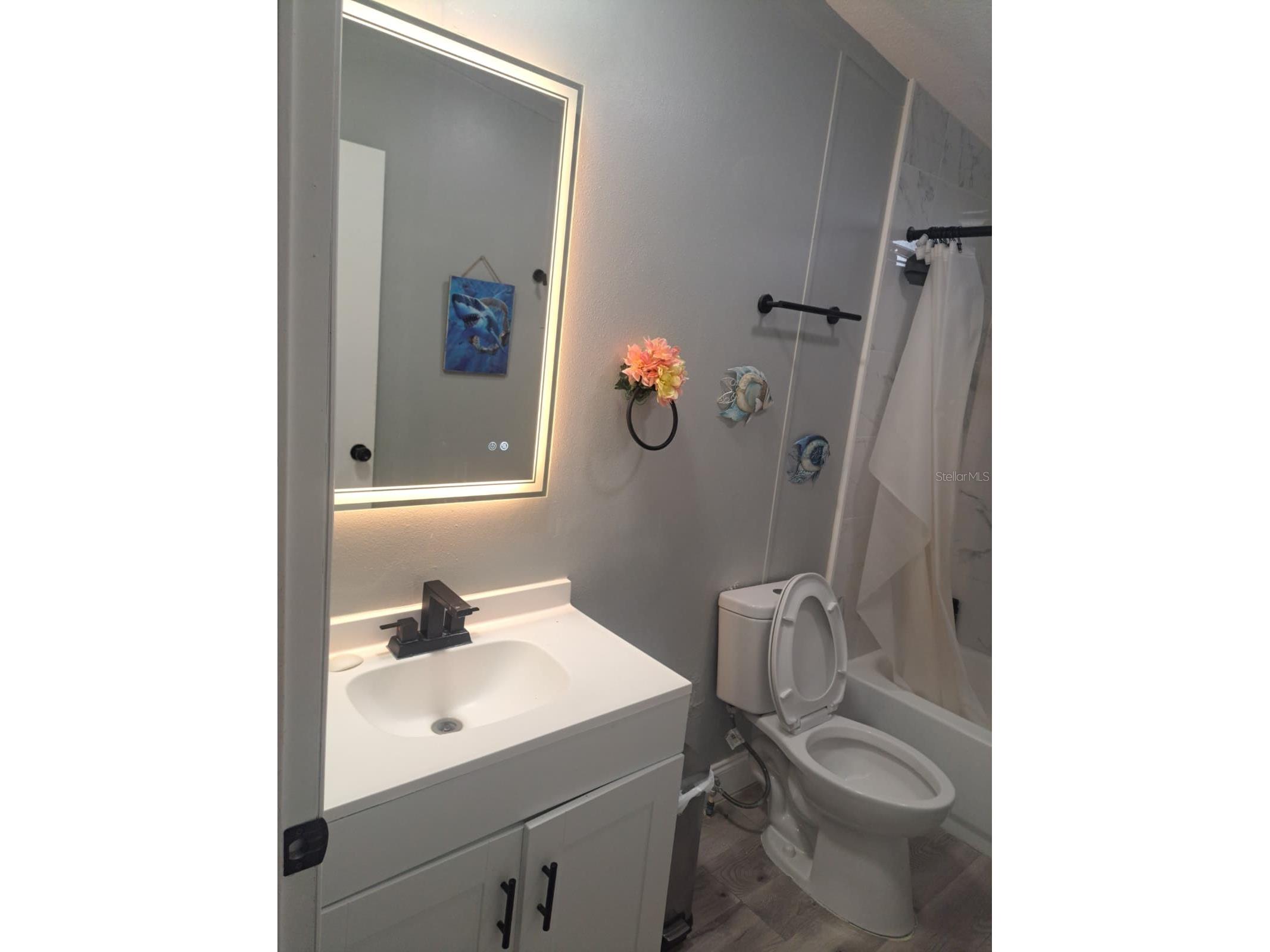 3707 Silver Lake Drive Kissimmee FL 34744 S5152425 image23