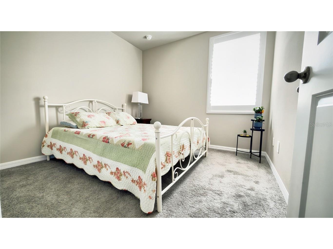 3708 Radiant Mountain Drive Plant City FL 33565 S5138321 image11