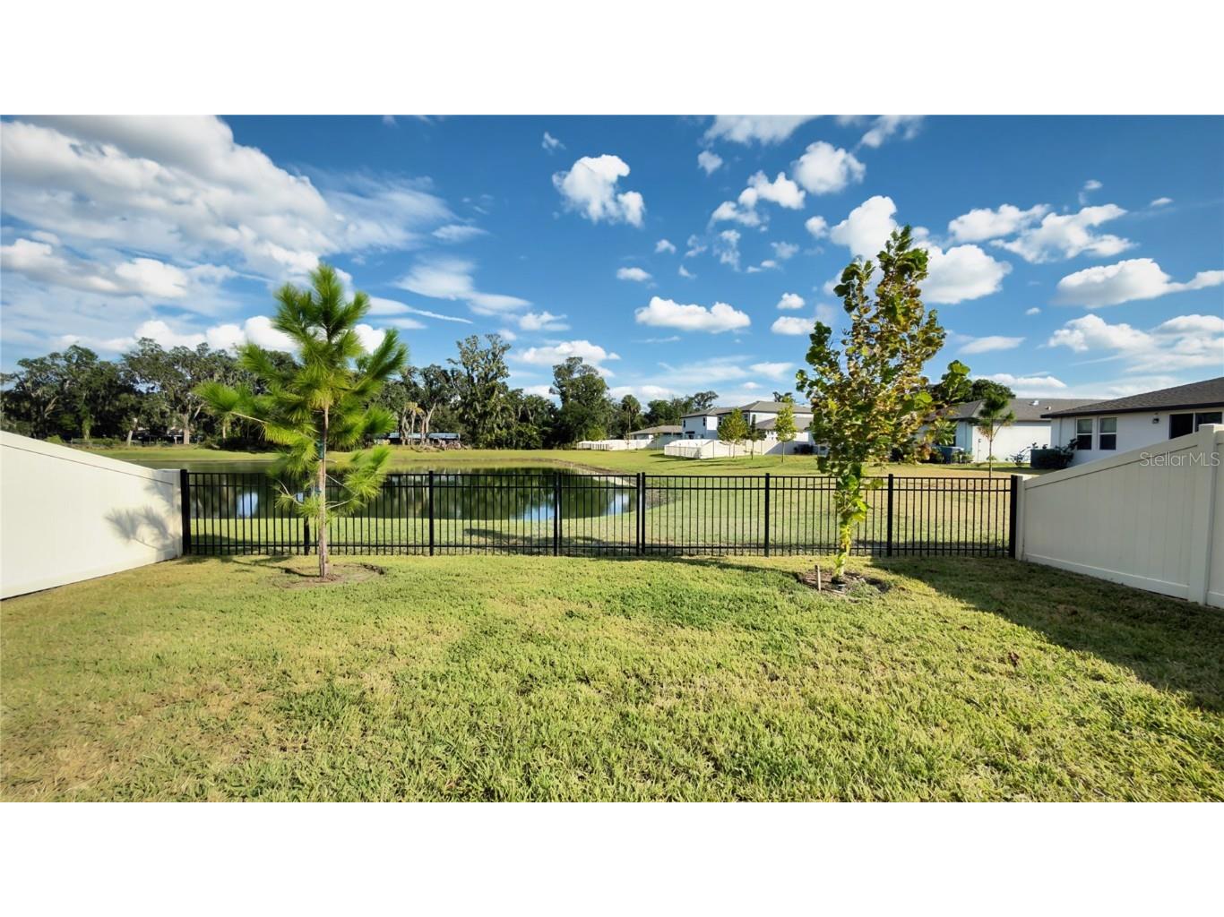 3708 Radiant Mountain Drive Plant City FL 33565 S5138321 image20