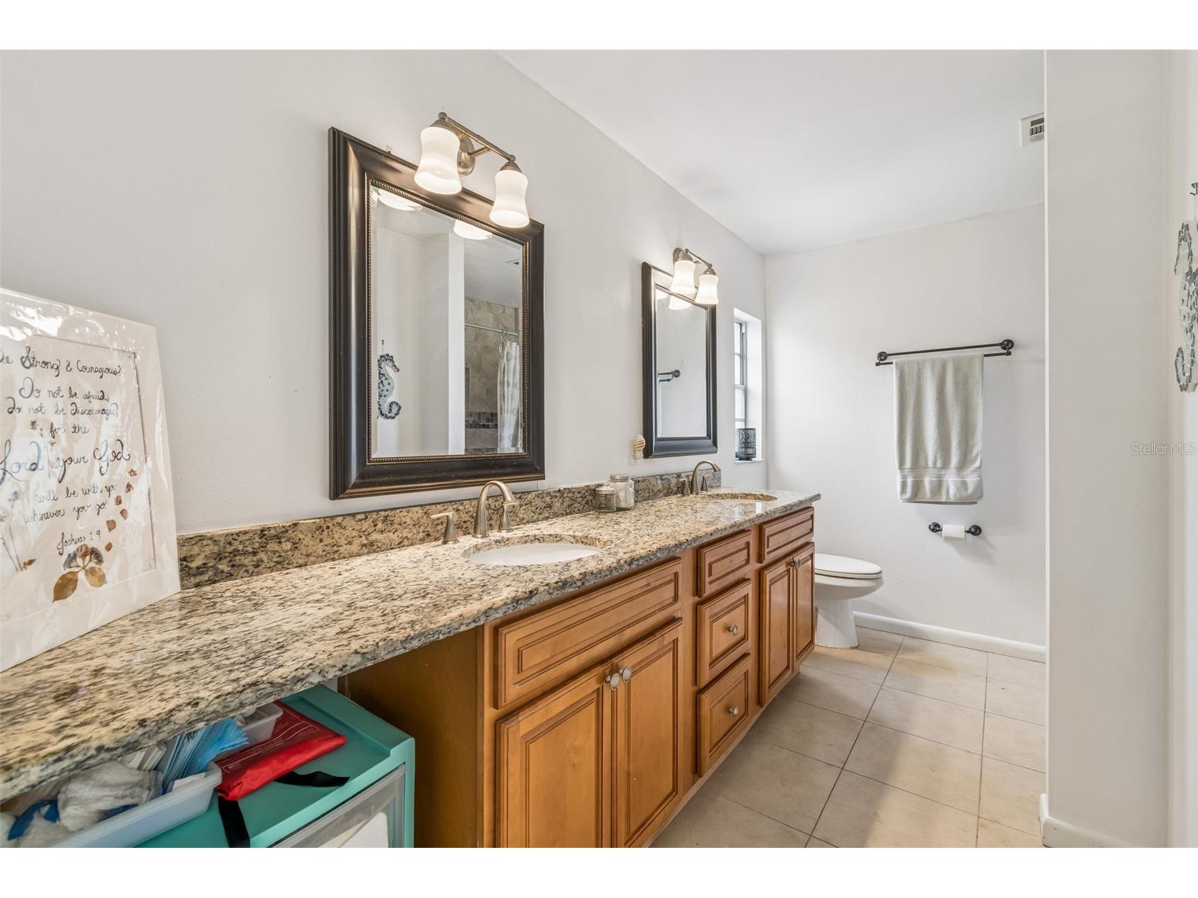 3708 Sand Pebble Drive Valrico FL 33596 TB8497259 image18