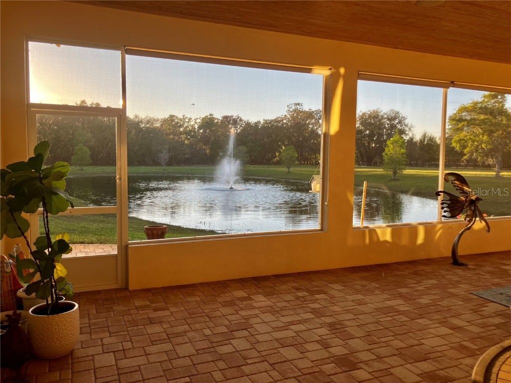 3709 Gallagher Road Plant City FL 33565 - CAMPBELL BRANCH TB8364469 image37