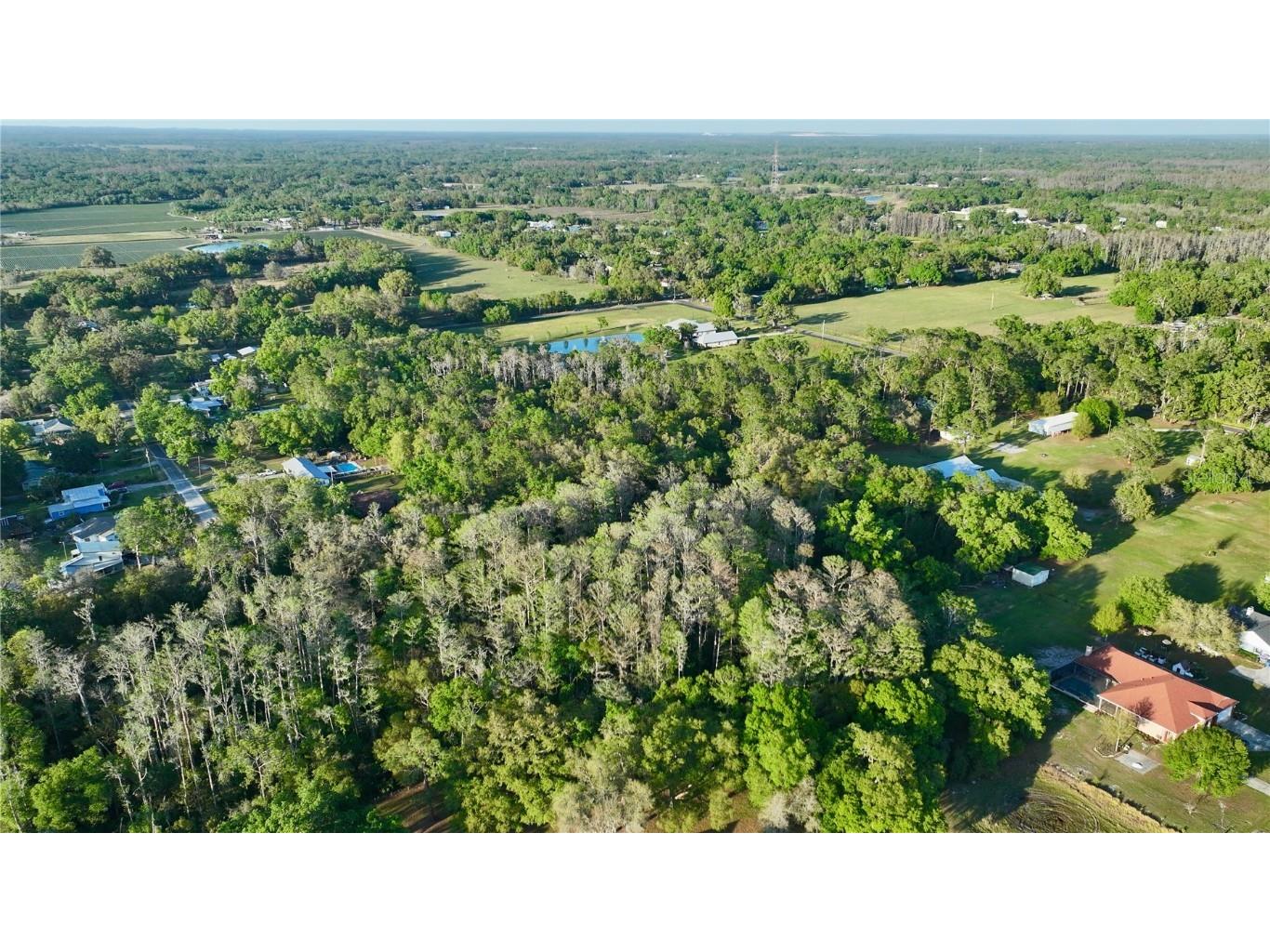 3709 Gallagher Road Plant City FL 33565 - CAMPBELL BRANCH TB8364469 image58