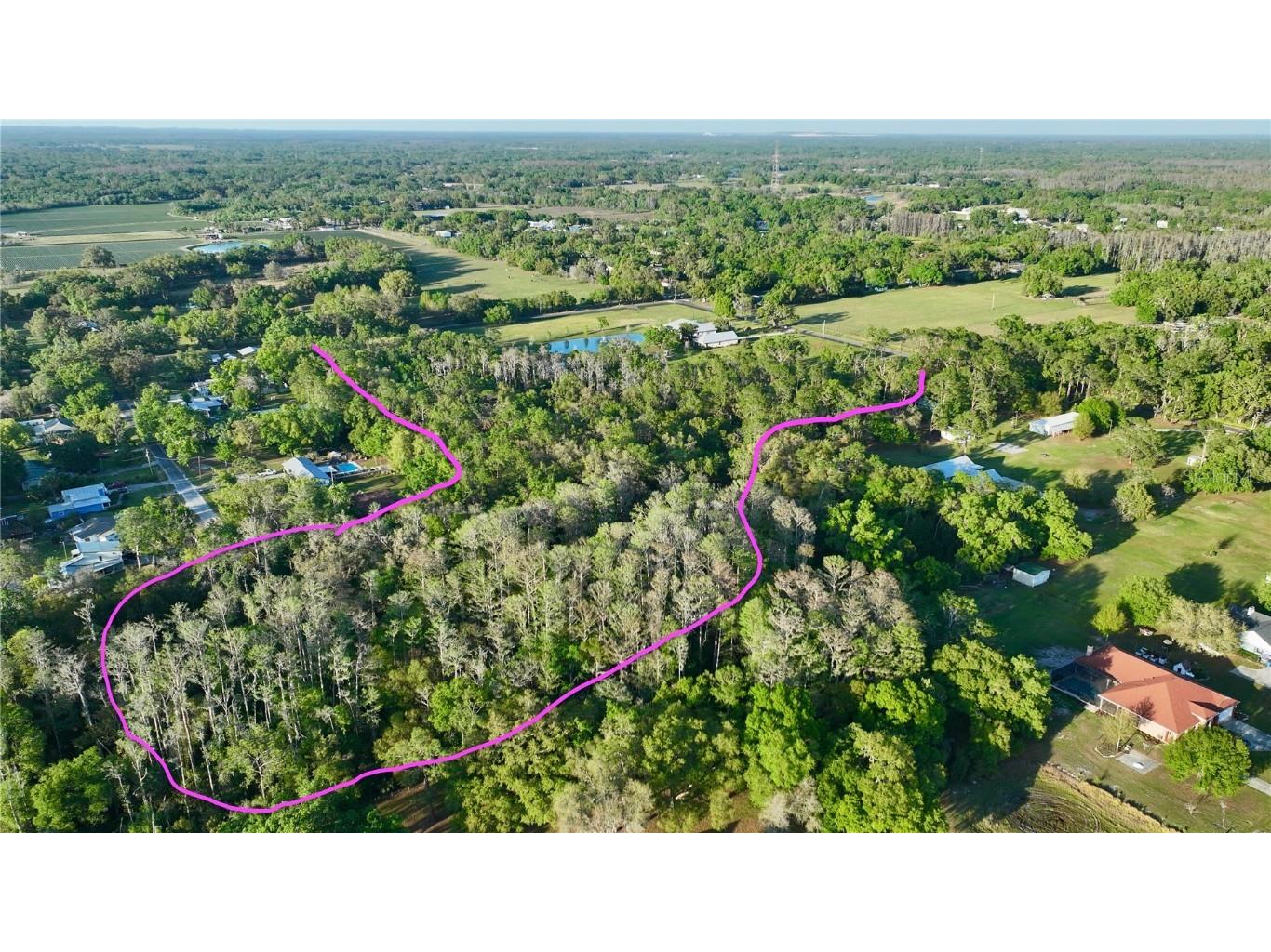 3709 Gallagher Road Plant City FL 33565 - CAMPBELL BRANCH TB8364469 image59