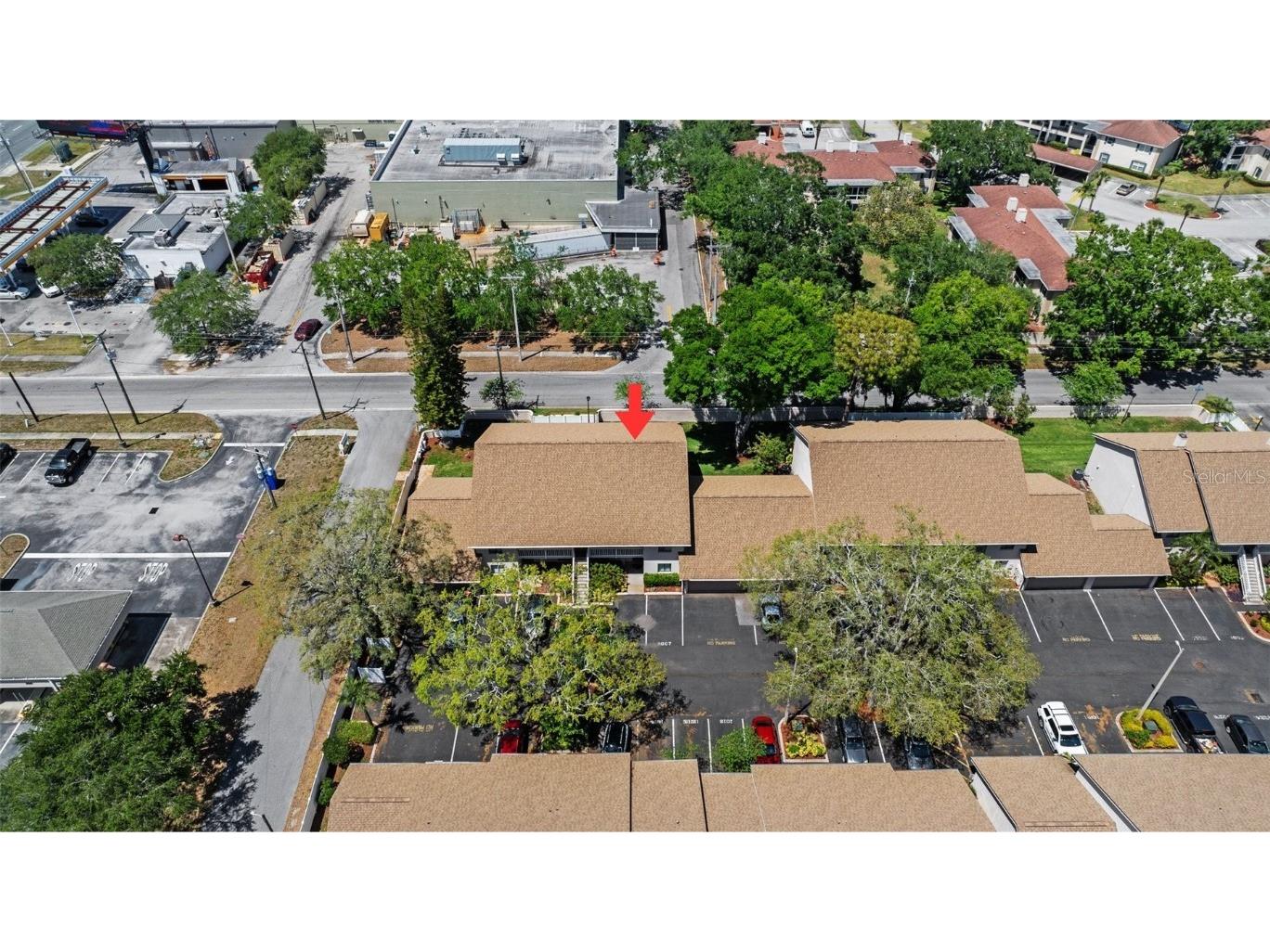 3709 Greenery Court #209 Tampa FL 33618 TB8377644 image26