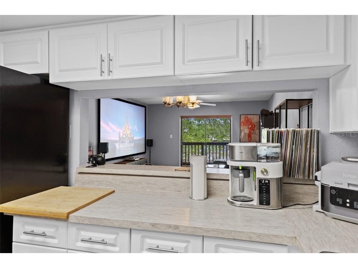 3709 Greenery Court #209 Tampa FL 33618 TB8377644 image3