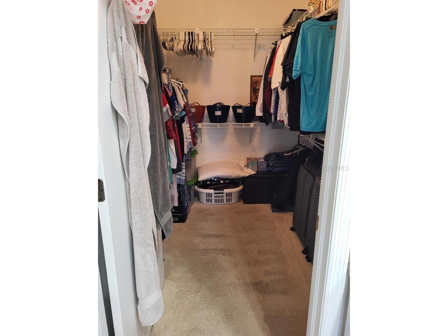 3709 Mollie Lane Ruskin FL 33573 TB8510451 image16