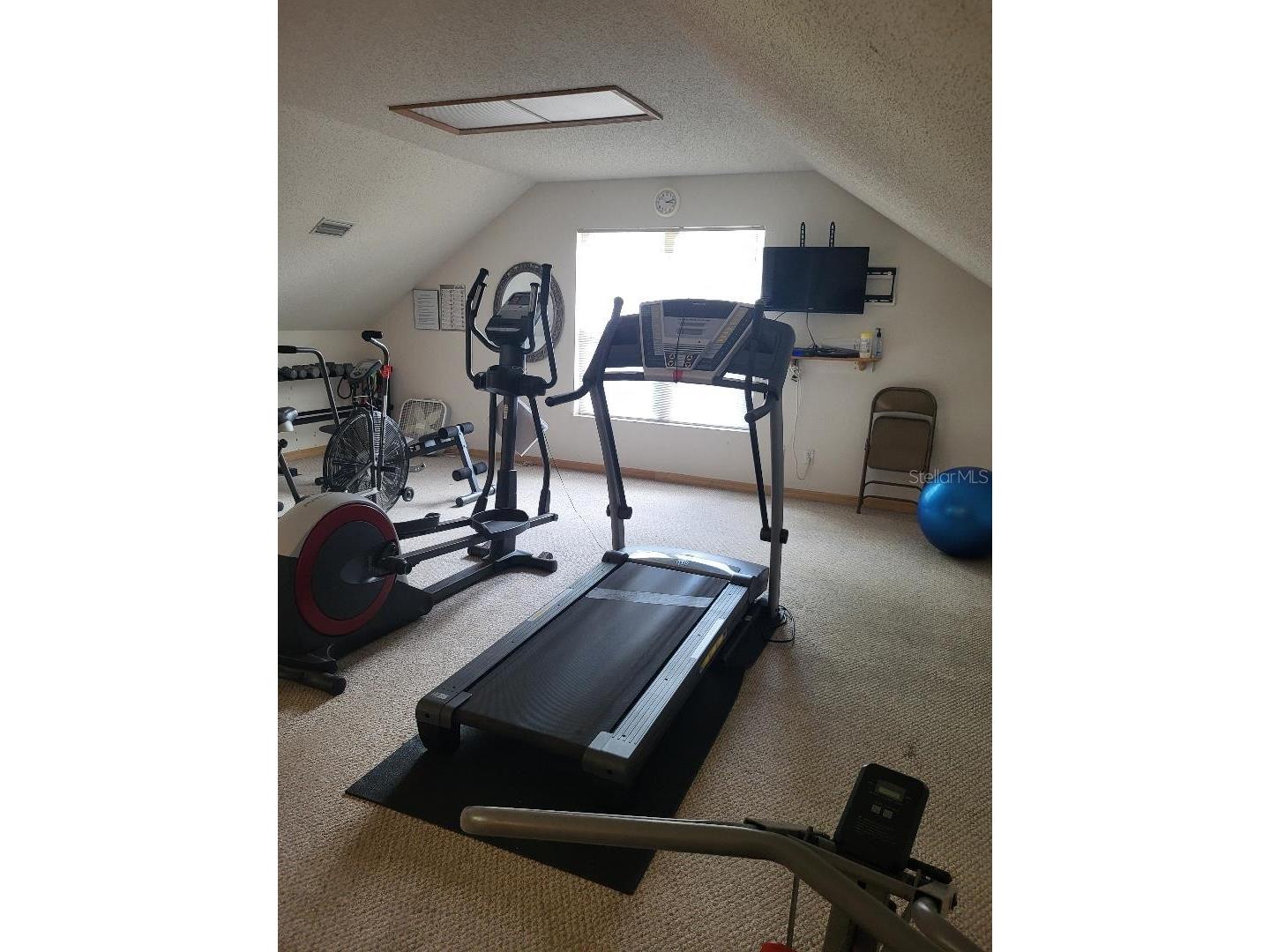 3709 Mollie Lane Ruskin FL 33573 TB8510451 image36