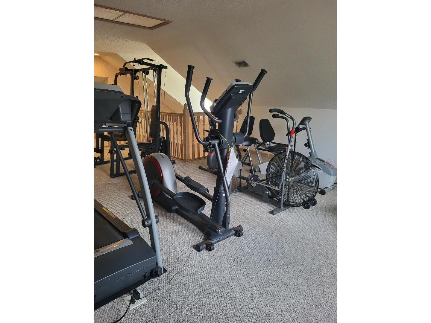 3709 Mollie Lane Ruskin FL 33573 TB8510451 image38