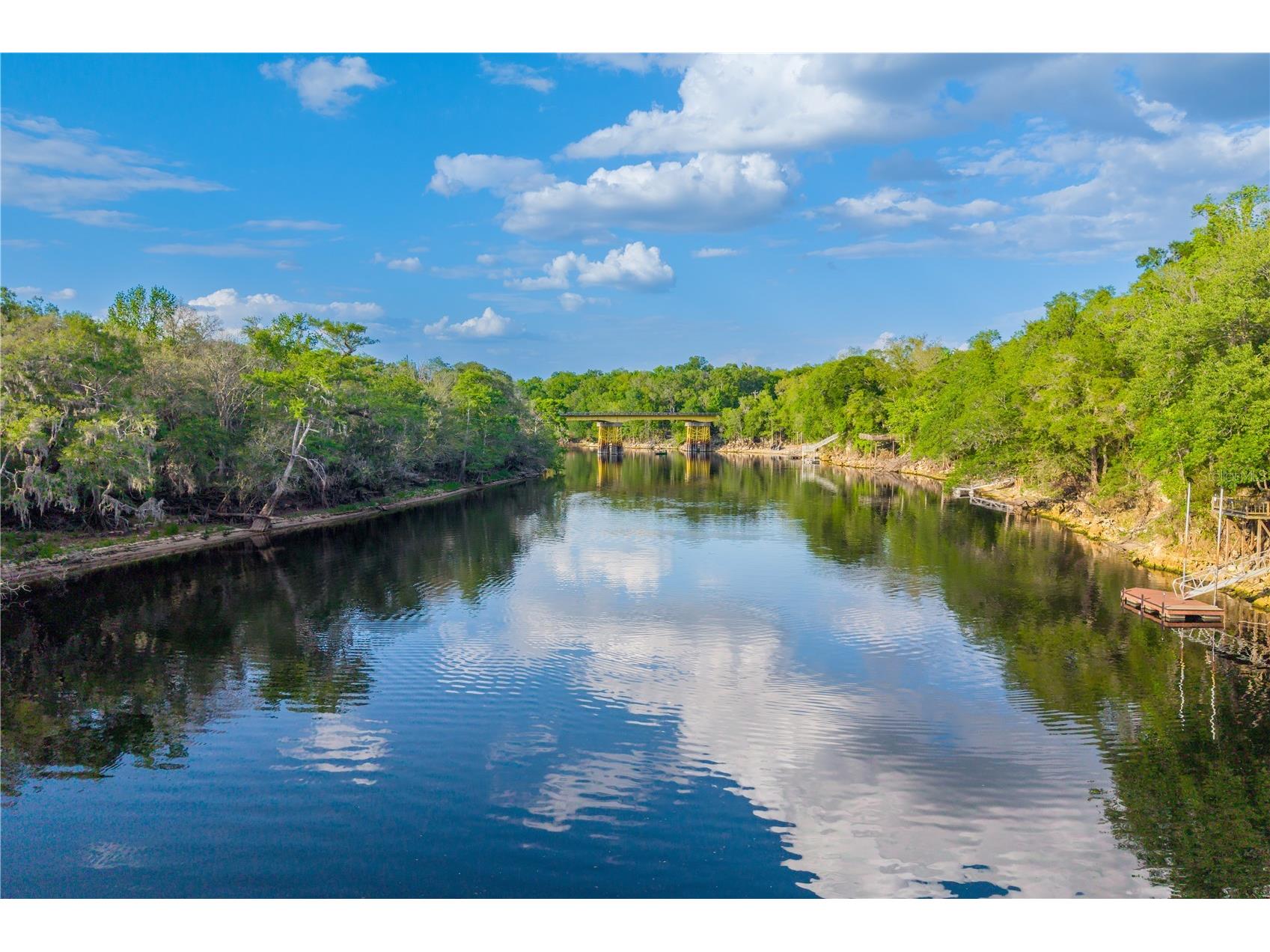 3709 NW 67th Terrace Bell FL 32619 - SUWANNEE RIVER GC539839 image33