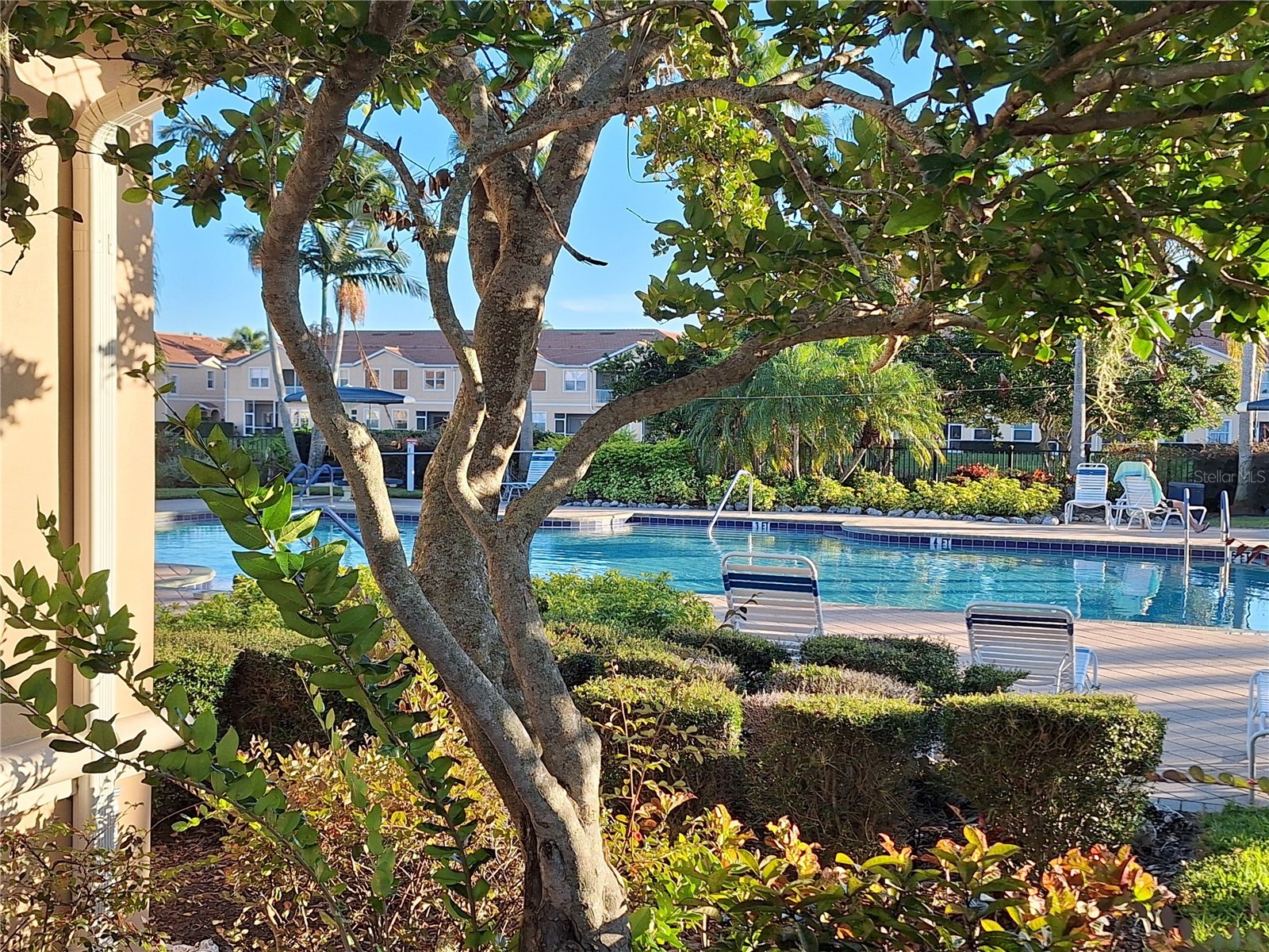 3709 Parkridge Circle #7-204 Sarasota FL 34243 N6142325 image33
