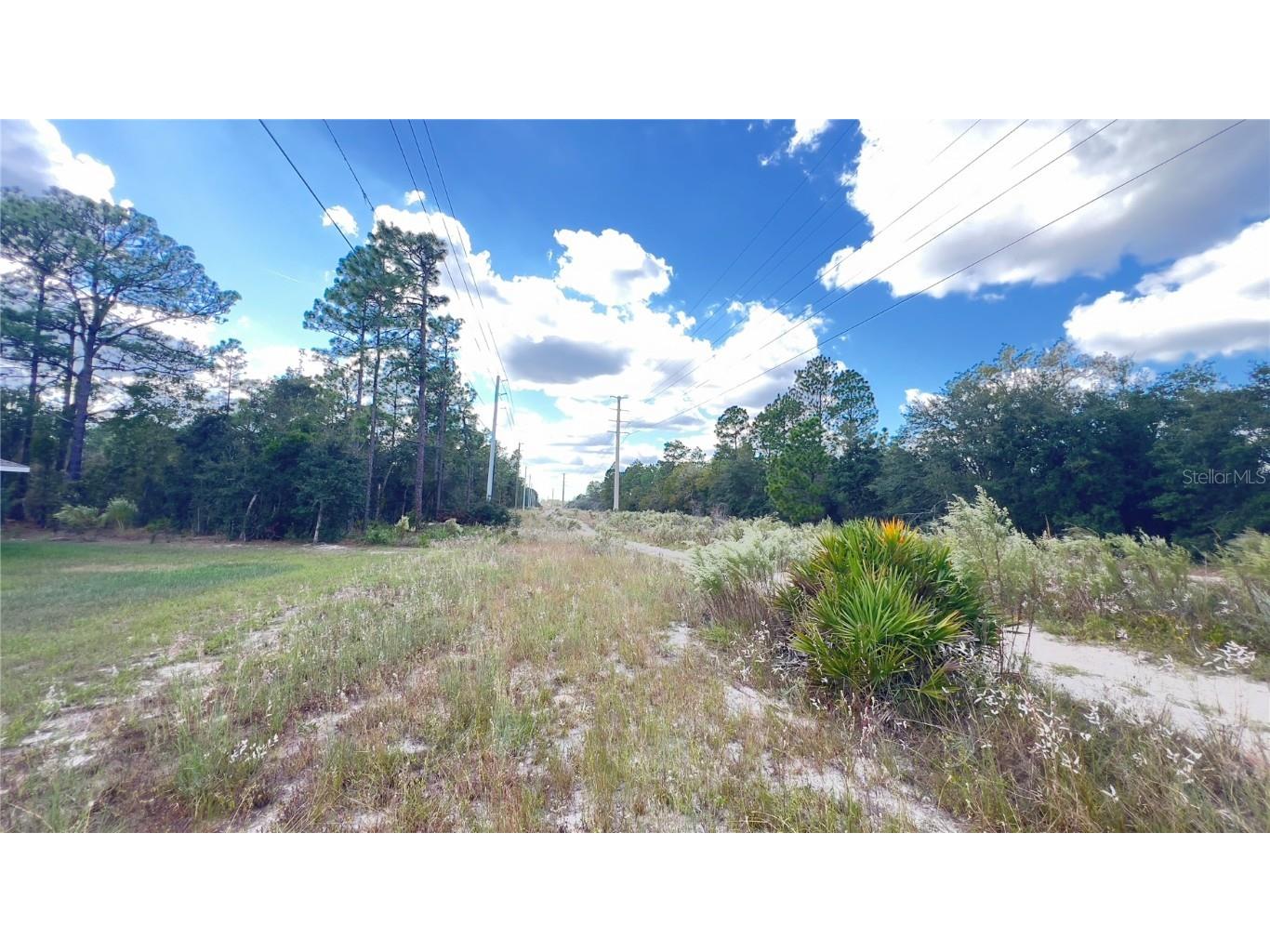 3709 W Wilhelm Street Citrus Springs FL 34433 O6354550 image27