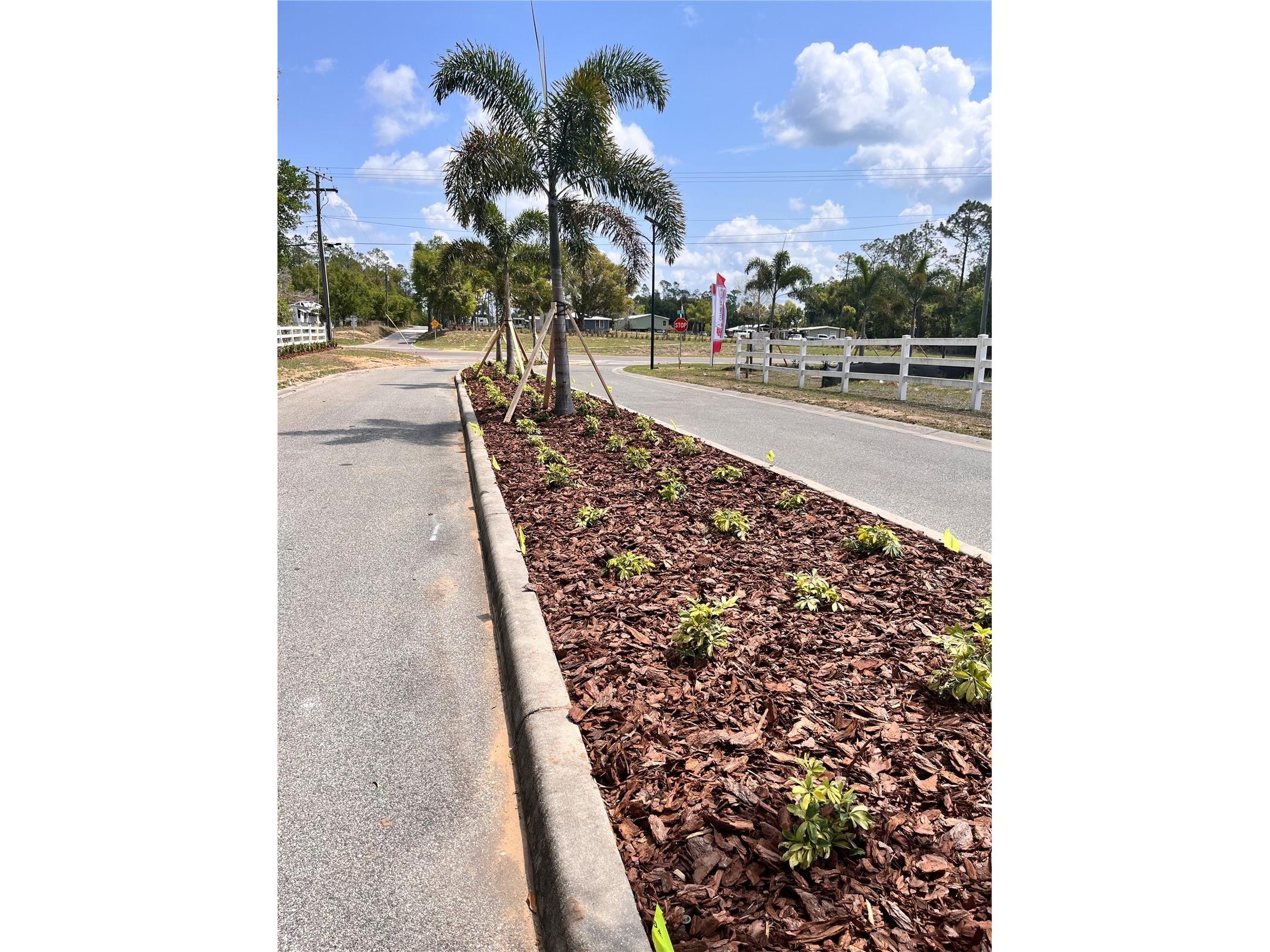 37094 Hidden View Circle Dade City FL 33523 TB8449024 image12