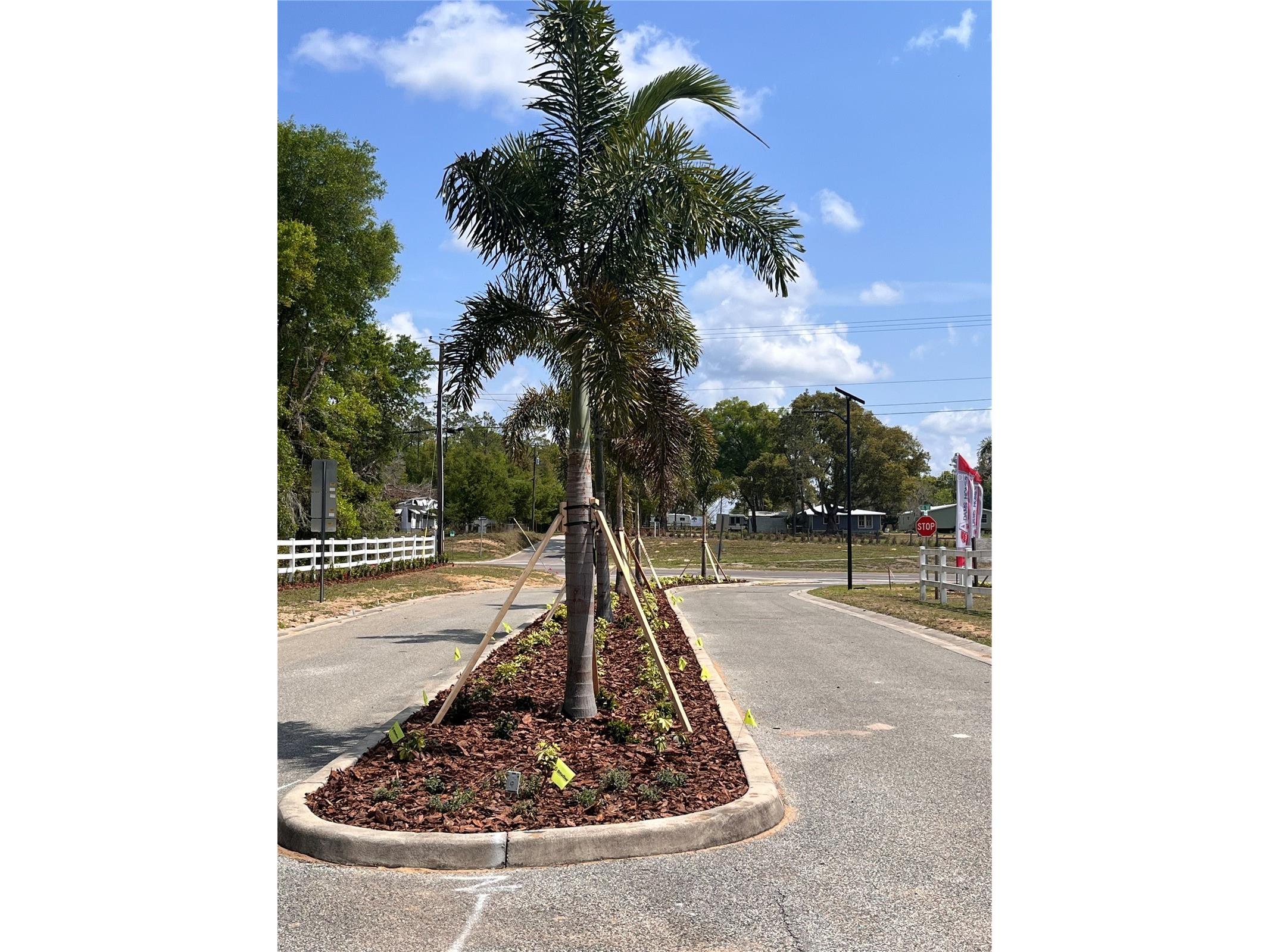 37094 Hidden View Circle Dade City FL 33523 TB8449024 image16