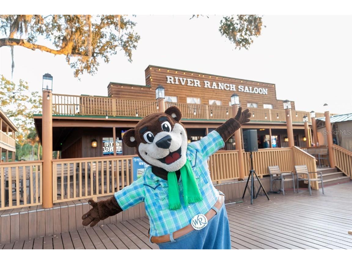 371 Bob Cat Lane River Ranch FL 33867 U8242602 image11