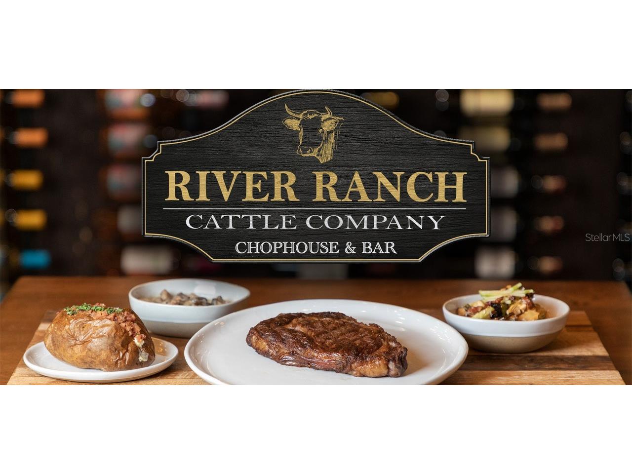 371 Bob Cat Lane River Ranch FL 33867 U8242602 image23