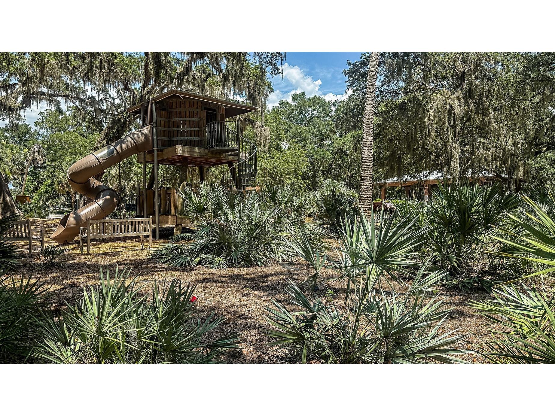371 Cornerstone Drive Groveland FL 34736 O6405165 image56