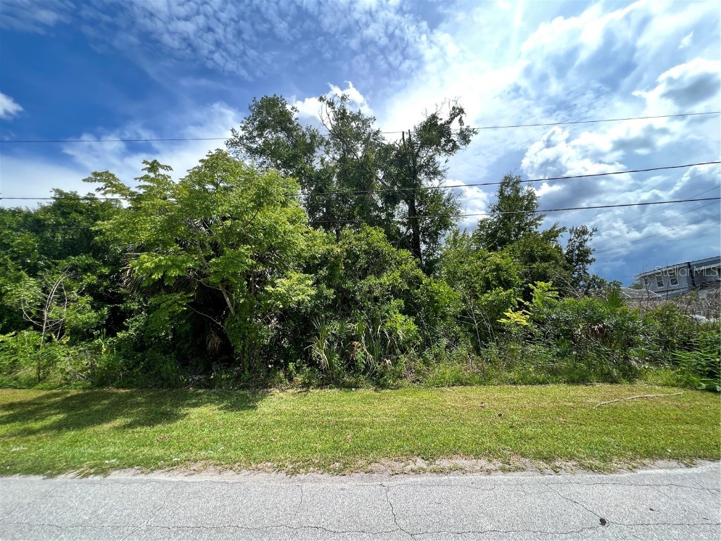 371 Fisher Drive Deltona FL 32725 S5070461 image1