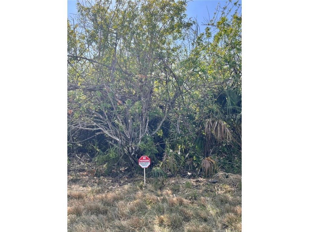 371 Lawler Street Port Charlotte FL 33954 V4942708 image1